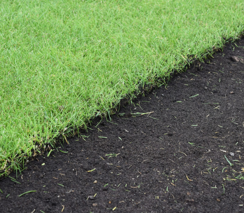 turf_main (1)